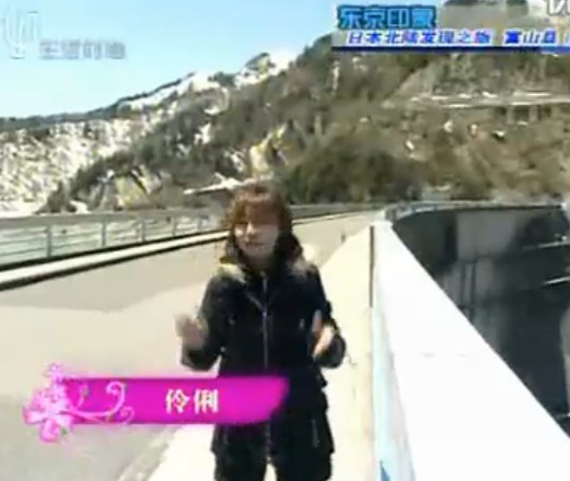富山特产鱼糕 